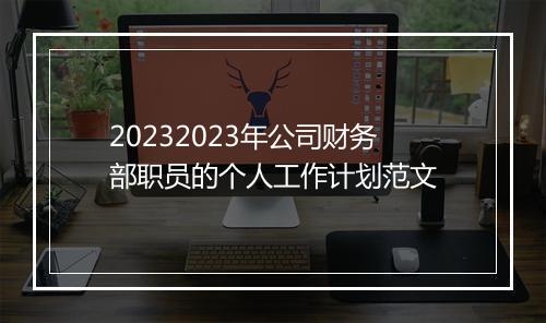 20232023年公司财务部职员的个人工作计划范文