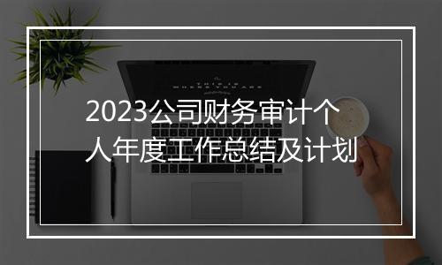 2023公司财务审计个人年度工作总结及计划
