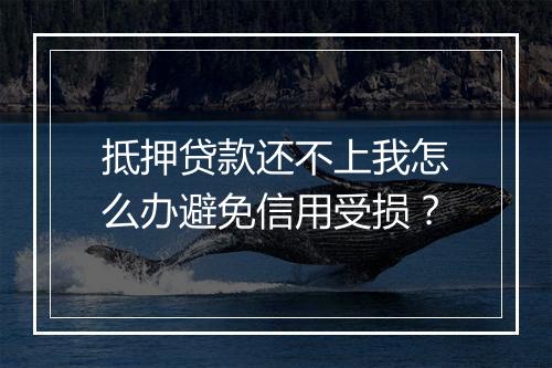 抵押贷款还不上我怎么办避免信用受损？