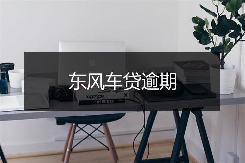 东风车贷逾期