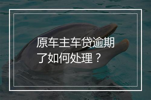 原车主车贷逾期了如何处理？