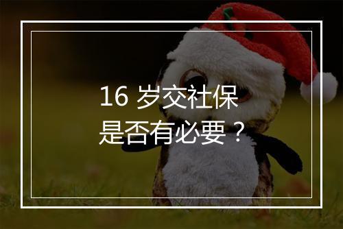 16 岁交社保是否有必要？