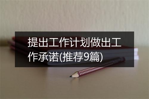 提出工作计划做出工作承诺(推荐9篇)