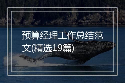 预算经理工作总结范文(精选19篇)