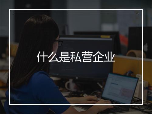 什么是私营企业