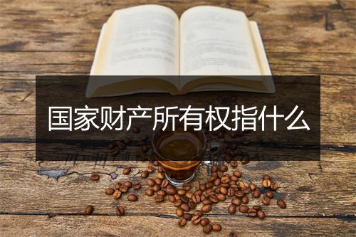 国家财产所有权指什么