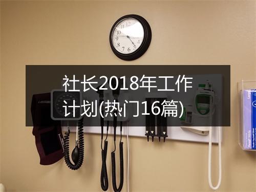 社长2018年工作计划(热门16篇)