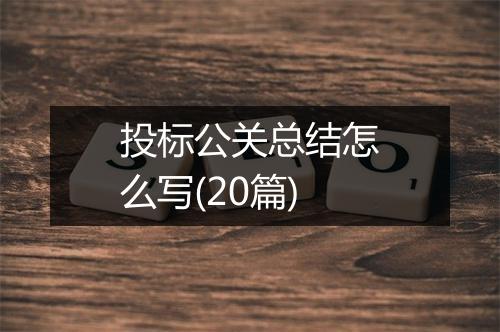投标公关总结怎么写(20篇)