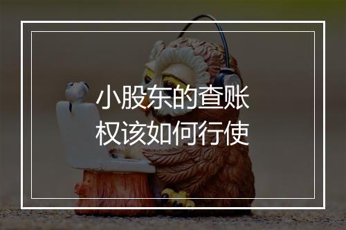 小股东的查账权该如何行使