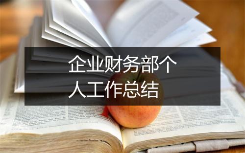 企业财务部个人工作总结