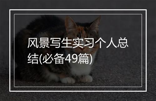 风景写生实习个人总结(必备49篇)