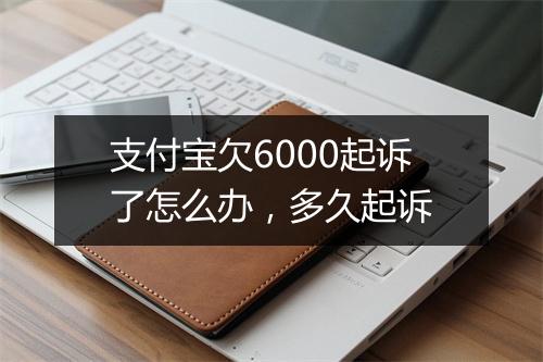 支付宝欠6000起诉了怎么办，多久起诉