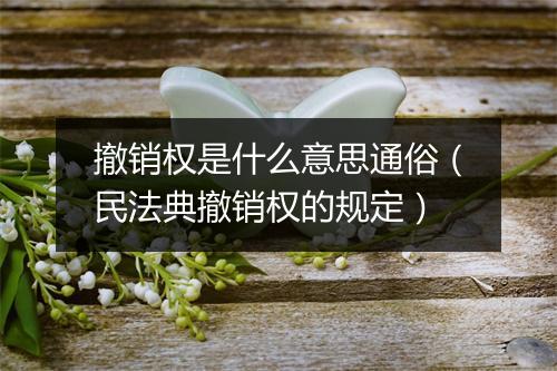 撤销权是什么意思通俗（民法典撤销权的规定）