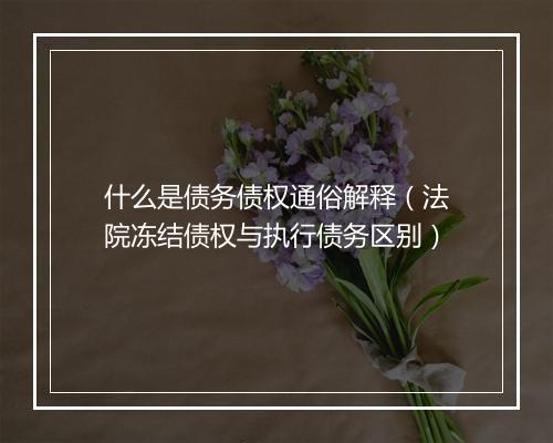 什么是债务债权通俗解释（法院冻结债权与执行债务区别）