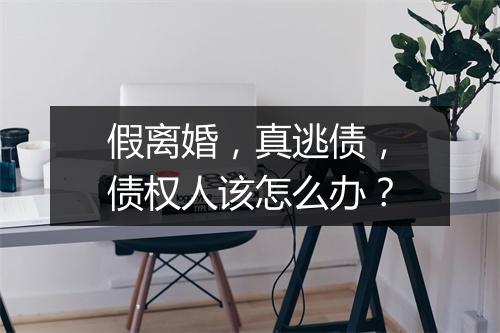 假离婚，真逃债，债权人该怎么办？
