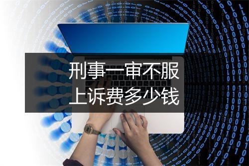 刑事一审不服上诉费多少钱