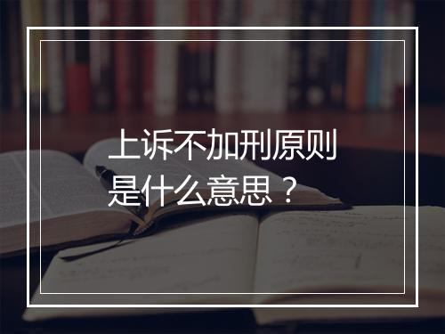 上诉不加刑原则是什么意思？