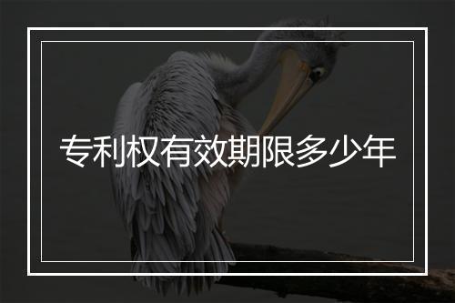 专利权有效期限多少年