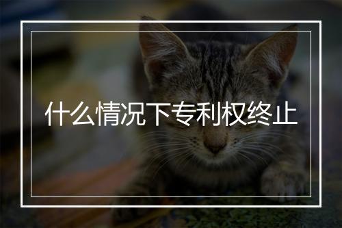 什么情况下专利权终止