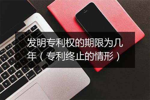 发明专利权的期限为几年（专利终止的情形）