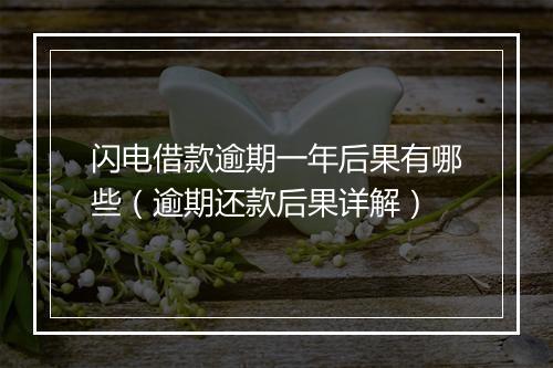 闪电借款逾期一年后果有哪些（逾期还款后果详解）