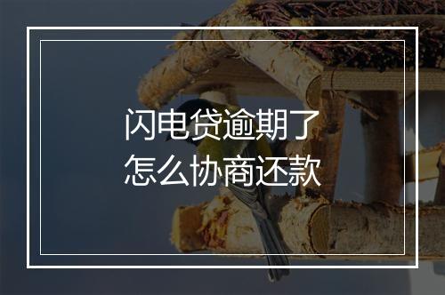 闪电贷逾期了怎么协商还款