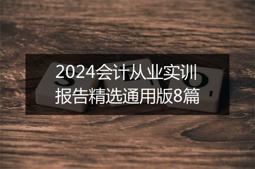 2024会计从业实训报告精选通用版8篇