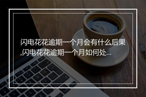 闪电花花逾期一个月会有什么后果,闪电花花逾期一个月如何处理