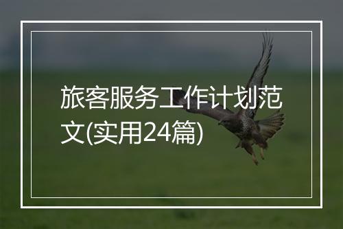 旅客服务工作计划范文(实用24篇)