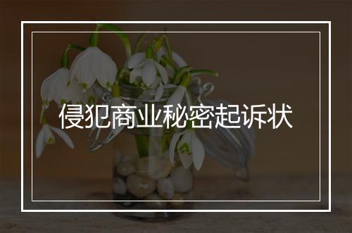 侵犯商业秘密起诉状
