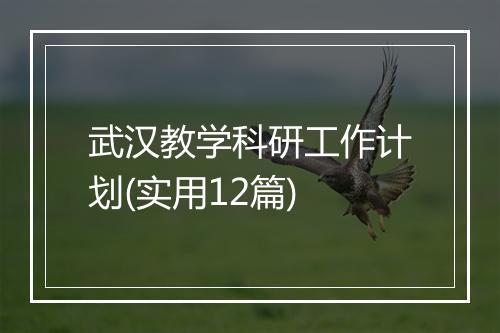 武汉教学科研工作计划(实用12篇)