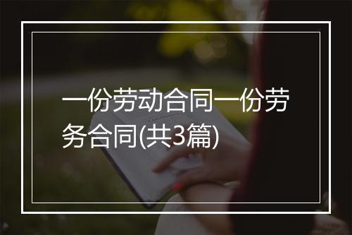 一份劳动合同一份劳务合同(共3篇)