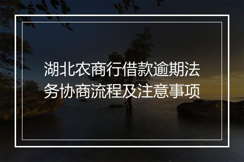 湖北农商行借款逾期法务协商流程及注意事项