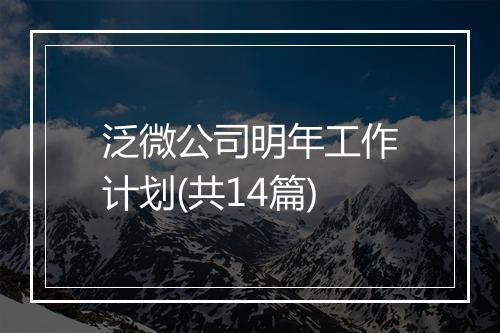 泛微公司明年工作计划(共14篇)