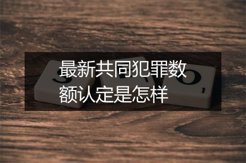 最新共同犯罪数额认定是怎样