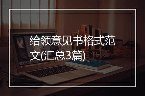 给领意见书格式范文(汇总3篇)