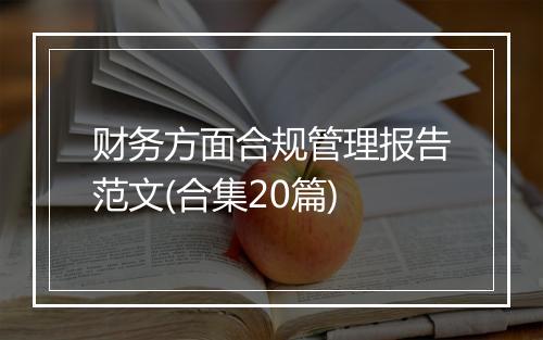 财务方面合规管理报告范文(合集20篇)