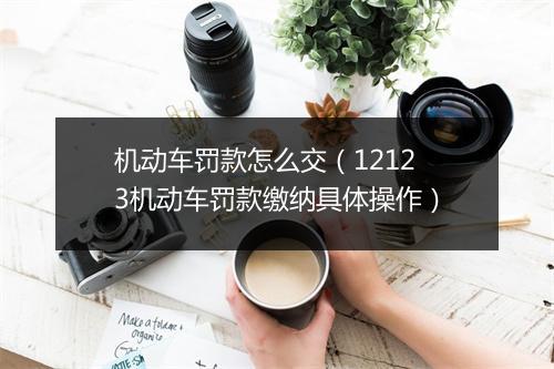 机动车罚款怎么交（12123机动车罚款缴纳具体操作）