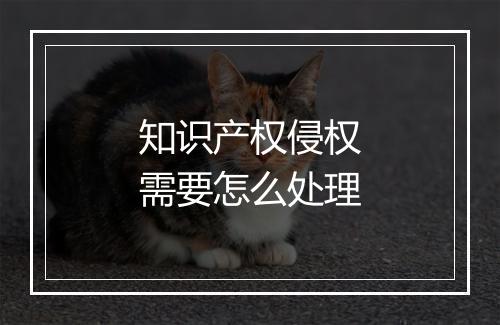 知识产权侵权需要怎么处理