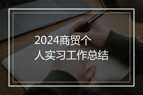 2024商贸个人实习工作总结
