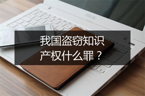 我国盗窃知识产权什么罪？
