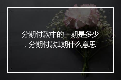 分期付款中的一期是多少，分期付款1期什么意思