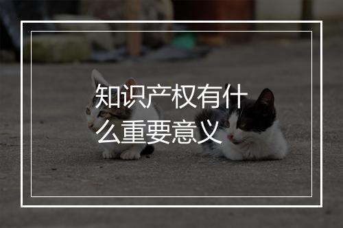 知识产权有什么重要意义