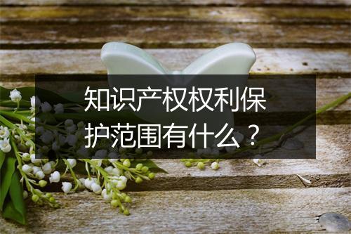 知识产权权利保护范围有什么？