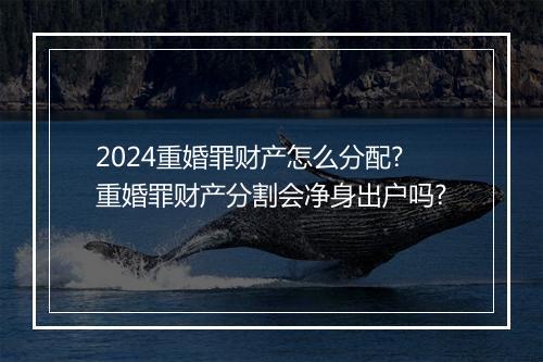 2024重婚罪财产怎么分配?重婚罪财产分割会净身出户吗?