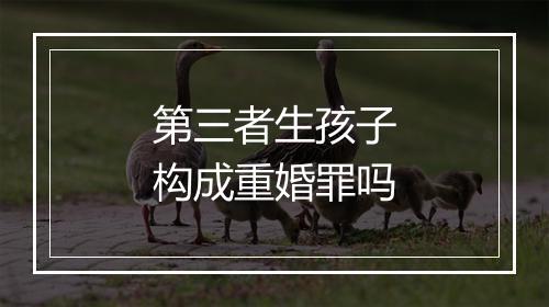 第三者生孩子构成重婚罪吗