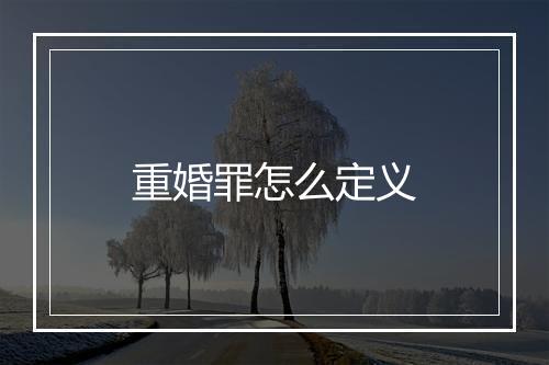 重婚罪怎么定义