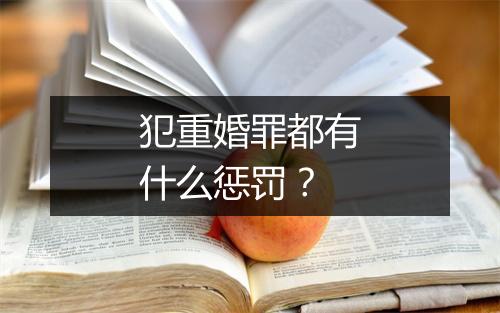 犯重婚罪都有什么惩罚？