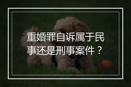 重婚罪自诉属于民事还是刑事案件？