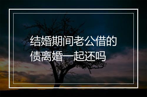 结婚期间老公借的债离婚一起还吗